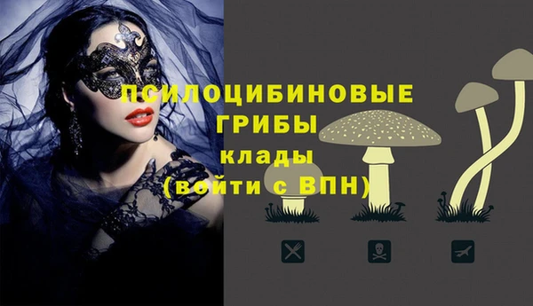 jwh Осинники