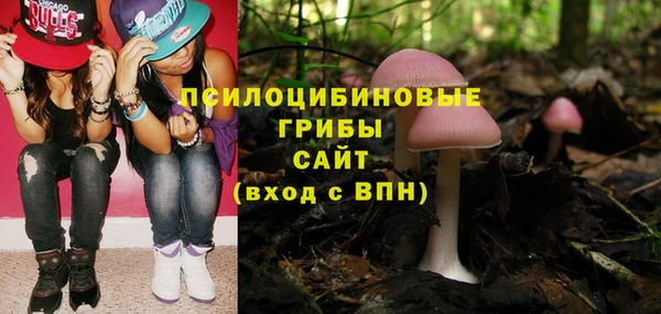 синтетический гашиш Осташков