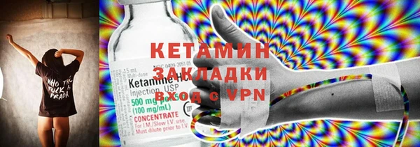 индика Дмитриев