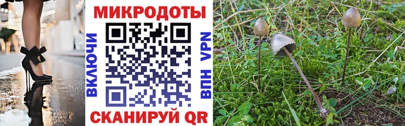 Галлюциногенные грибы Cubensis  Пустошка 